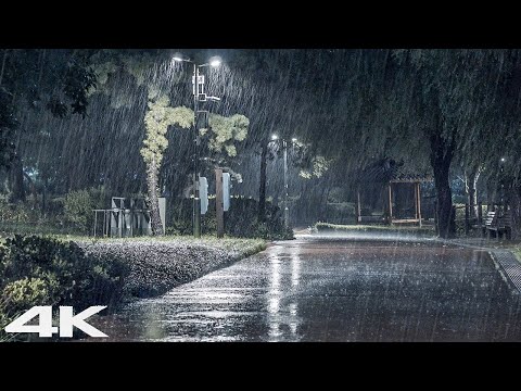 暴风雨之夜公园暴雨强雷_ 适合睡觉的雨声