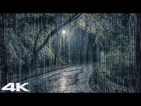 立即深度睡眠 _ 森林公园的雷声和大雨声在舒适的夜晚响起
