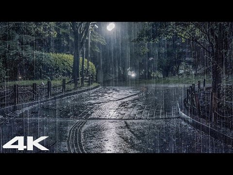 夜晚森林公园大雨声3分钟告别压力
