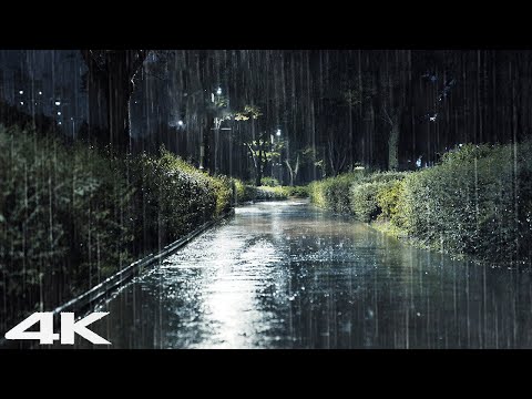 晚上在人行道上轻柔地下雨，瞬间进入深度睡眠?放松的雨声有助于睡眠和压力