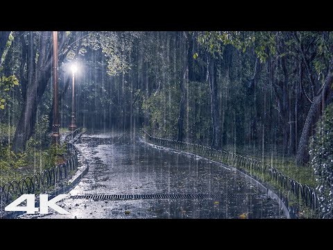 立即降温并入睡 _ 舒适的夜晚，公园里响起雷声和大雨声