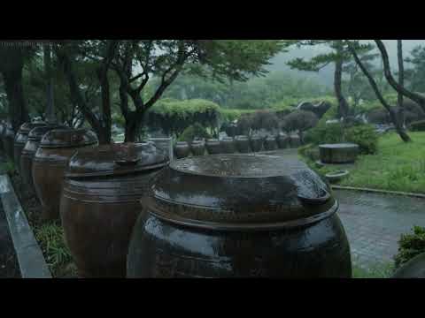 漂离压力和失眠，雨声为你开启深度睡眠与平静之门。