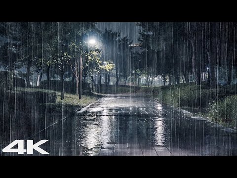 停止压力快速入睡 _ 晚上公园里的大雨和雷暴声音