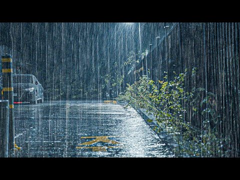 睡不着的夜晚终于结束！听着倾泻的暴雨雨声，一觉到天亮也不惊醒