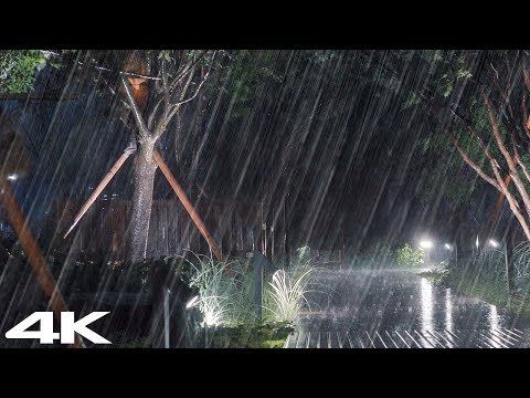 伴随着疯狂倾盆的雨声，立刻告别失眠