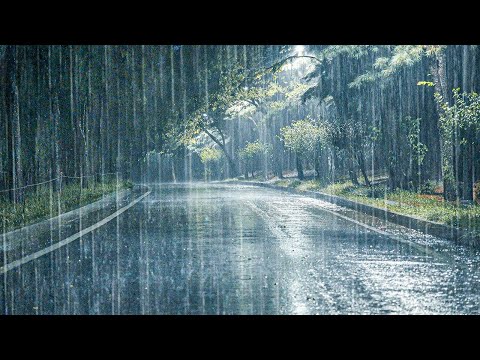 【最后的暴雨雨声】助你消除失眠症！听了立刻入睡的睡眠引导 ASMR