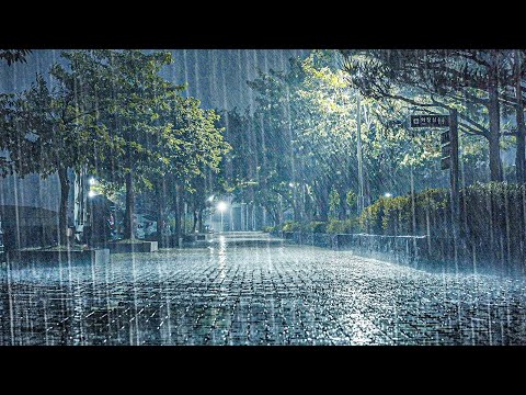 [警告] 播放着睡觉就能立刻入睡？失眠耳鸣必听的暴雨雨声特效