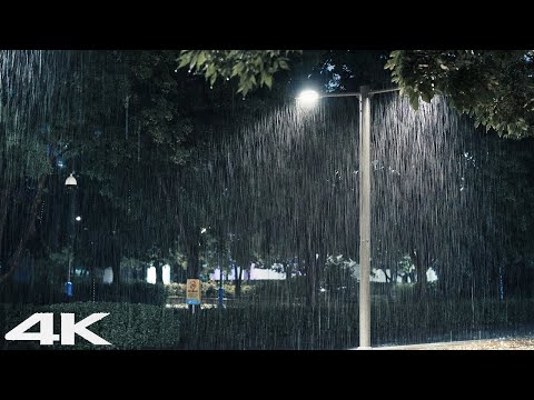 3 分钟内轻松进入深度睡眠 _ 夜间森林公园强降雨