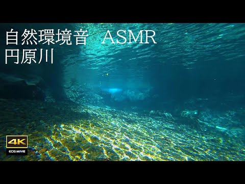 4K 圆原川自然环境音有多治愈？沉浸式水中影像＋真实水中音，Healing underwater footage（治愈水下影像）