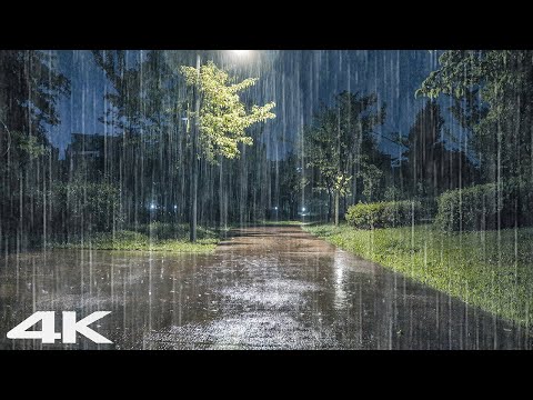 平静祥和的雨声助您深度睡眠｜缓解耳鸣、减轻压力