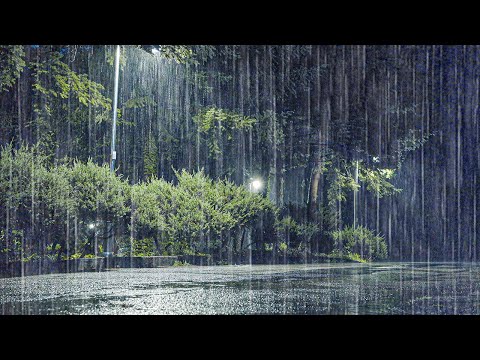 终于找到！真正助眠的雨声 ASMR，让失眠彻底消失，耳鸣也缓解