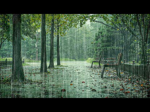 只要播放就能立刻入睡？雨声 ASMR×白噪音，缓解失眠与耳鸣的终极助眠神器