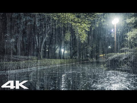 自然之夜公园大雨战胜失眠轻松入睡