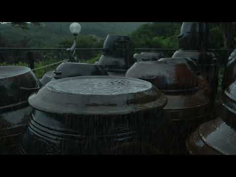 在雨声的引导下，悄然进入深度睡眠。