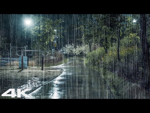 晚上公园里平静的雨声 _ 忘记压力和失眠 _ 白噪声 ASMR