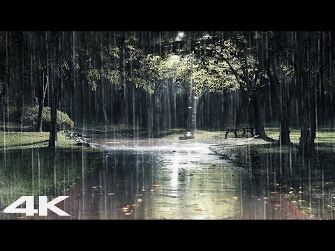 ?3分钟入睡?夜间轻柔的雨声，缓解压力和治疗失眠