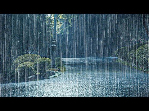 只需10分钟就能睡着？暴雨雨声助你彻底缓解失眠，甜美睡眠ASMR体验