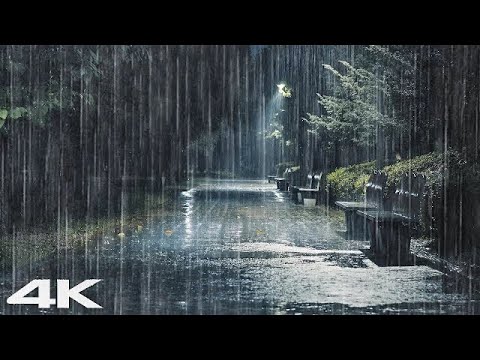 ⚡大雨和无情的雷声_ 在黑暗的夜晚在公园里立即入睡和冥想