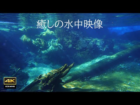 4K自然环境音太治愈了！水中光芒＋水中音带来极致放松体验｜Healing Underwater Footage水下治愈影像