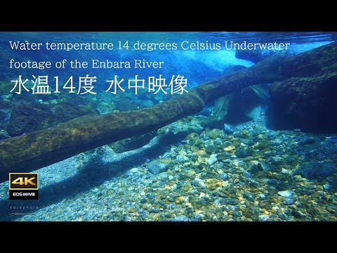 戴上耳机感受圆原川！4K自然环境音＋治愈水中影像与水中音，Healing underwater footage（治愈系水下影像）