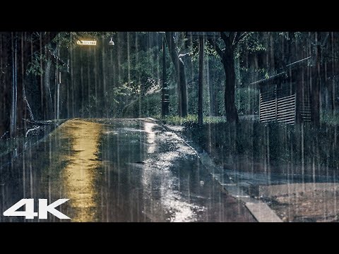 老公园夜间大雨声_ 2 分钟轻松进入深度睡眠