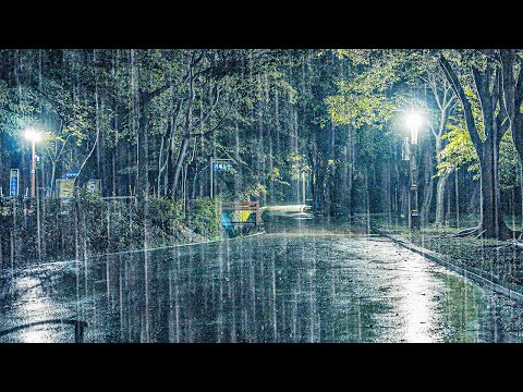 整夜深度睡眠竟然靠雨声？【困了】睡眠诱导×耳鸣缓解，让你一觉到天亮