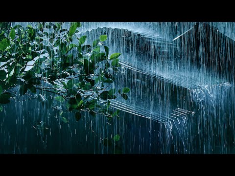 雨声催眠你入睡！铁皮屋顶大雨+震撼雷声，让你瞬间放松 _ 白噪音必备