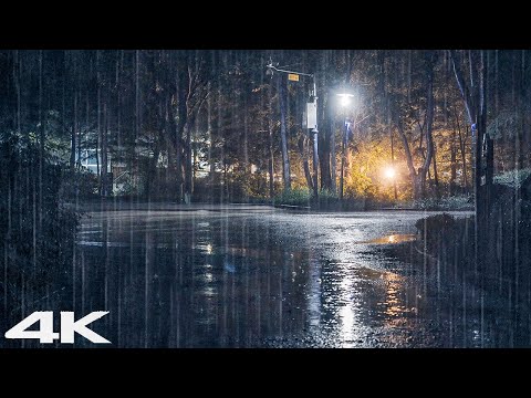 克服失眠，立即入睡_ 夜晚舒适公园里的大雨和雷声