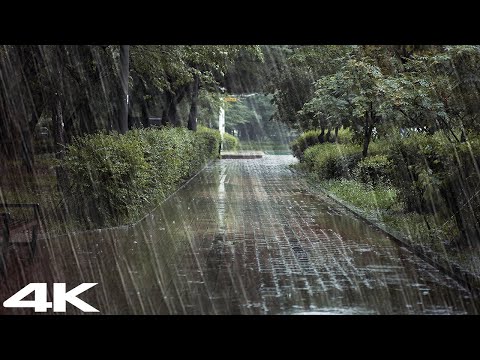 在长廊轻柔的雨声中放松身心，快速入睡