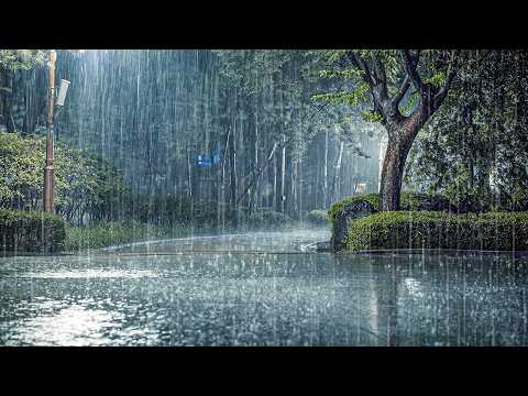 [失眠缓解] 倾泻雨声洗净所有烦恼！深度睡眠、白噪音助你彻底解除焦虑