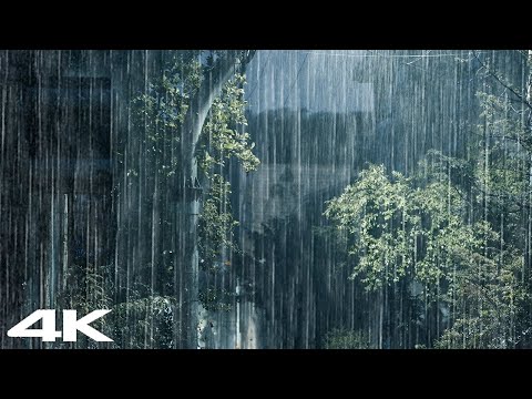 真正的大雨和夜间强烈的雷声 _ 快速入睡的雨声