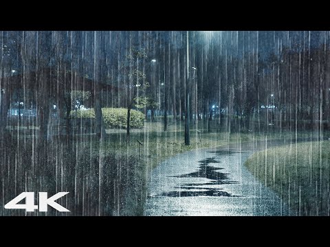再见失眠 _ 适合睡眠的大雨声 ASMR _ 晚上停车