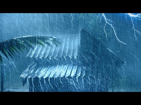 睡前必听！夜间飓风雷暴氛围 _ 倾盆大雨、震撼雷声与狂风让你秒入梦