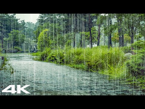 雨声助眠 _ 大雨、睡眠 ASMR、耳鸣舒缓