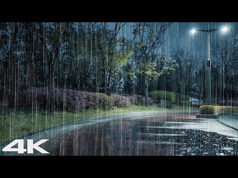 3 分钟内入睡 _ 晚上公园里的细雨声 _ ASMR