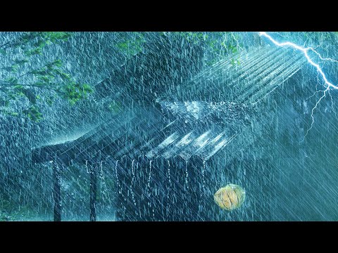 只需几分钟就能入睡！真实暴雨、强烈雷声与飓风风声的雷暴助眠绝招