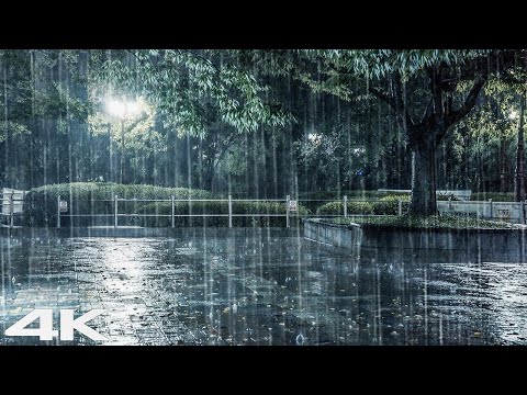 ASMR 夜雨 _ 老公园雷声大雨声告别失眠