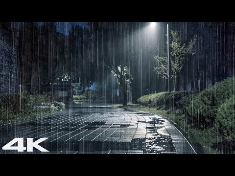 立即进入深度睡眠 _ 晚上公园里的大雨和雷声