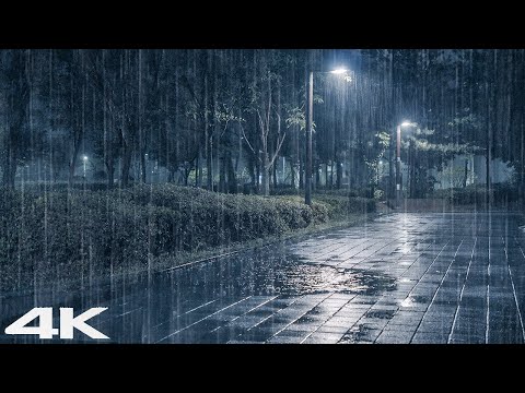 马上睡觉 _ 森林公园夜间大雨雷鸣