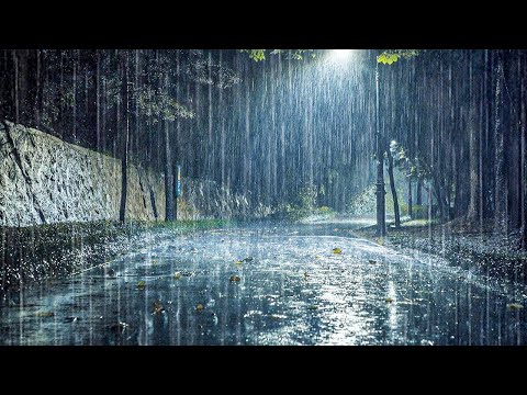 想立刻入睡？雨声放松睡眠音乐助你瞬间缓解失眠白噪音