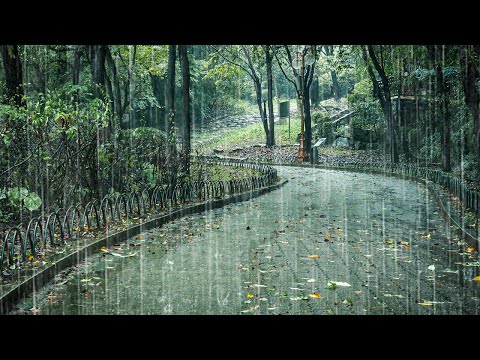 失眠症、耳鸣彻底告别！一听就能入深度睡眠的暴雨雨声 ASMR