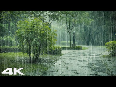 睡不着的时候播放这个雨声 _ 大雨，治愈，睡眠 ASMR