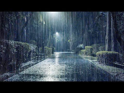 安静播放助你睡到早晨 _ 彻底克服失眠，甜美睡眠暴雨ASMR伴你入梦