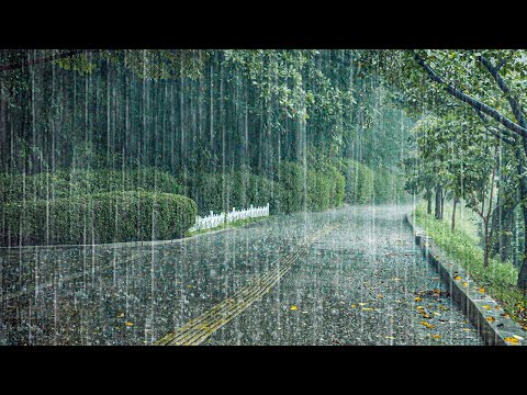 [警告] 暴风雨 ASMR 助您立即入睡，缓解失眠
