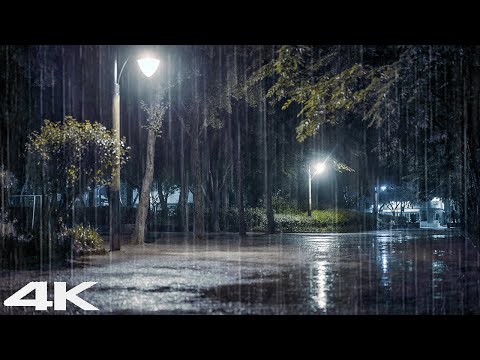 适合睡觉的雷声和大雨声_ 白噪声 ASMR