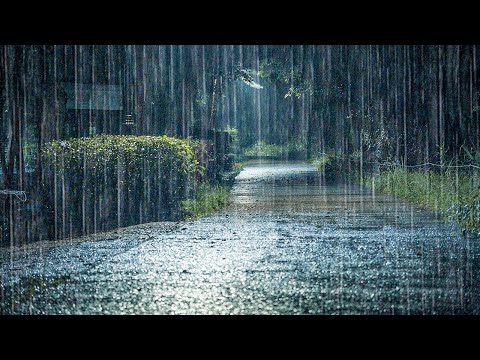 整夜不醒的深度睡眠！雨声ASMR＋暴雨助眠，同时缓解耳鸣