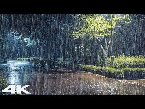 一觉睡到天亮｜Rain ASMR 深度睡眠