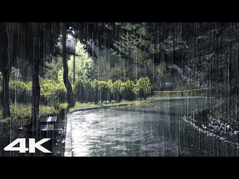 3 分钟让您安然入睡? 夜间人行道上舒适的雨声☔