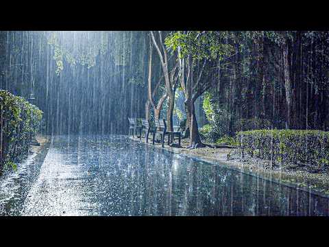 下雨声助你快速入睡！失眠焦虑全缓解，白噪声睡眠ASMR让你一夜好眠