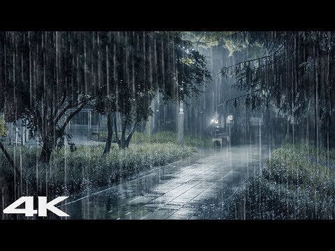 晚上老公园下大雨_ 你可以轻松入睡